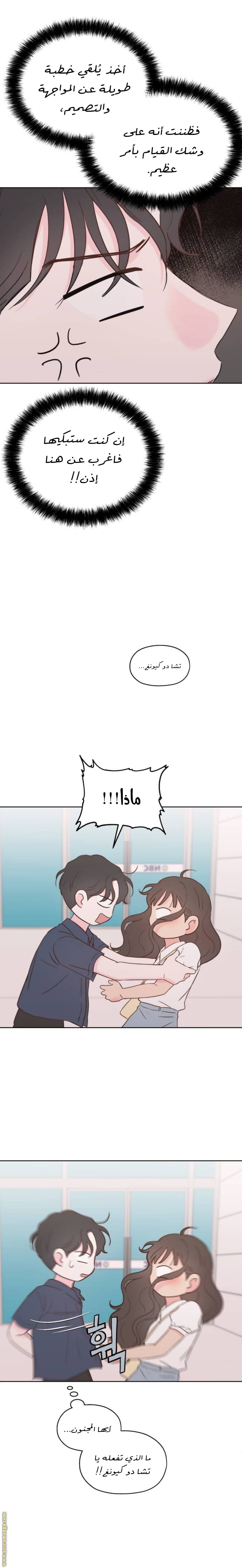 الصفحة 3