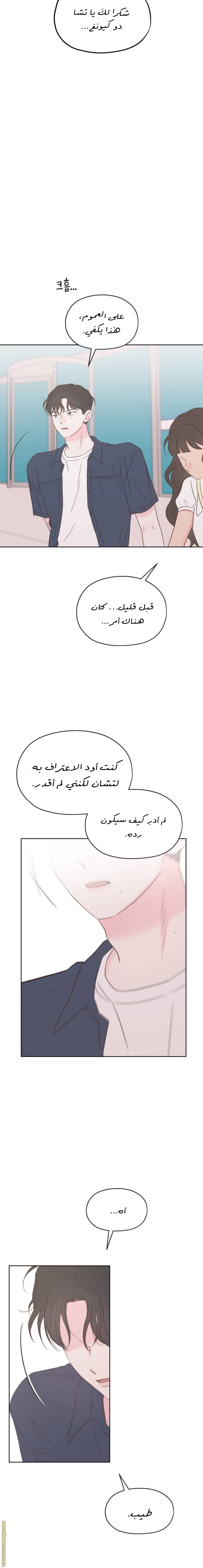 الصفحة 13