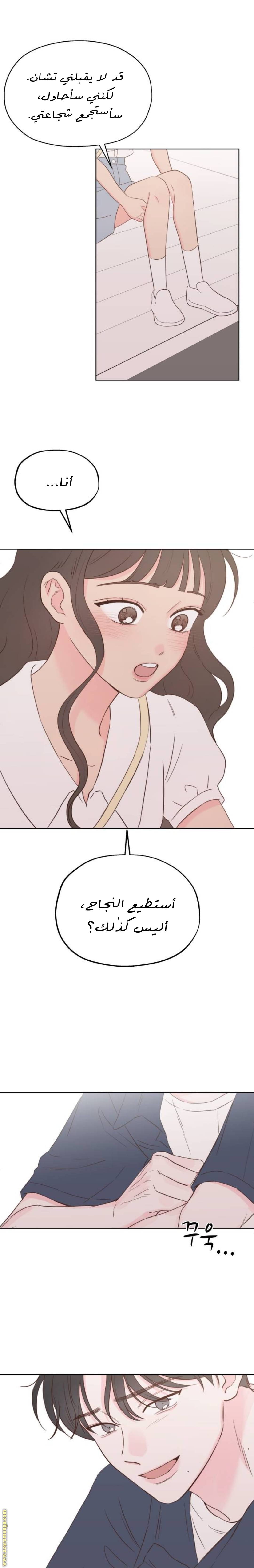 الصفحة 14