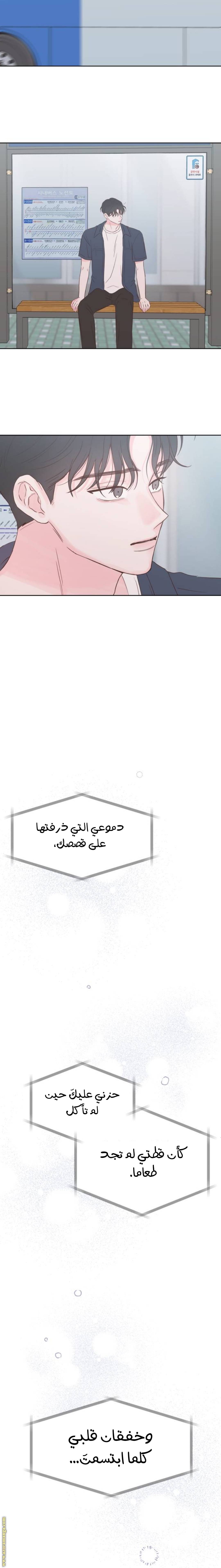 الصفحة 25