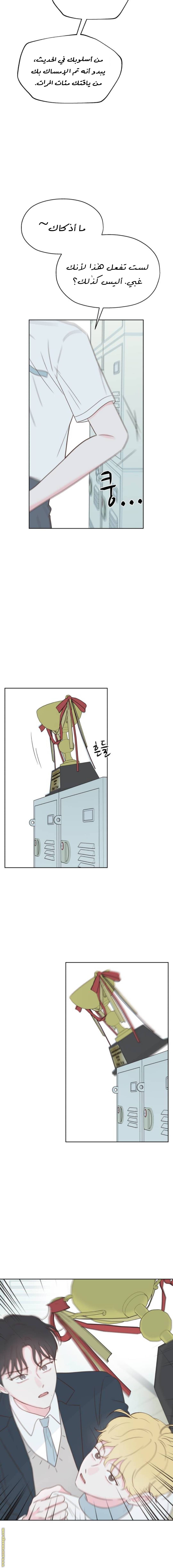 الصفحة 10