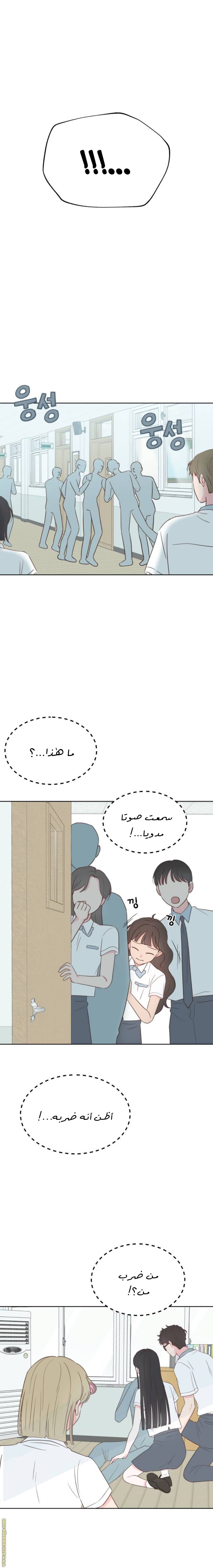 الصفحة 11