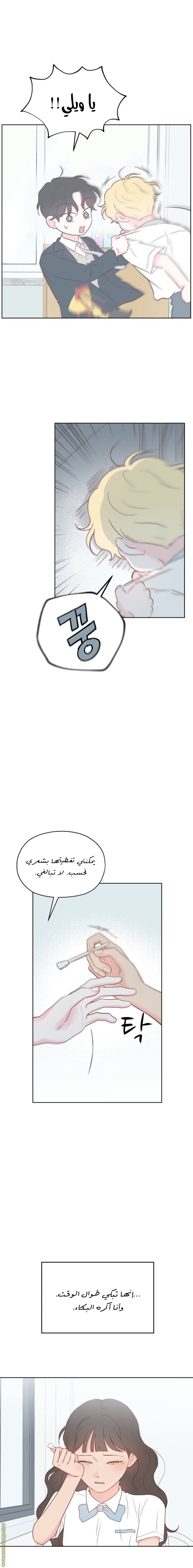 الصفحة 16