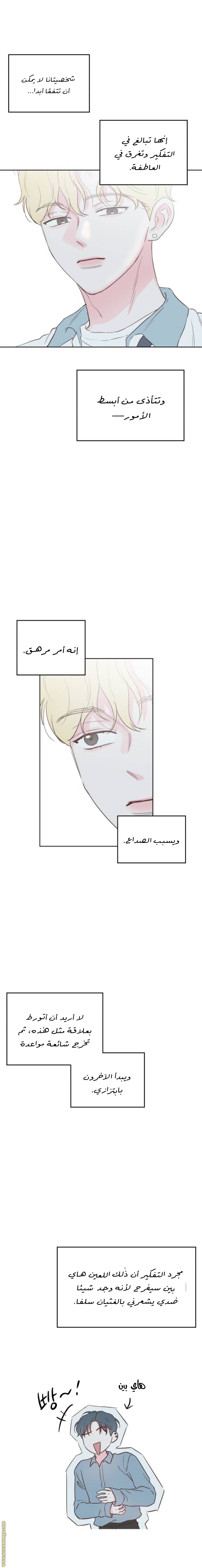 الصفحة 17