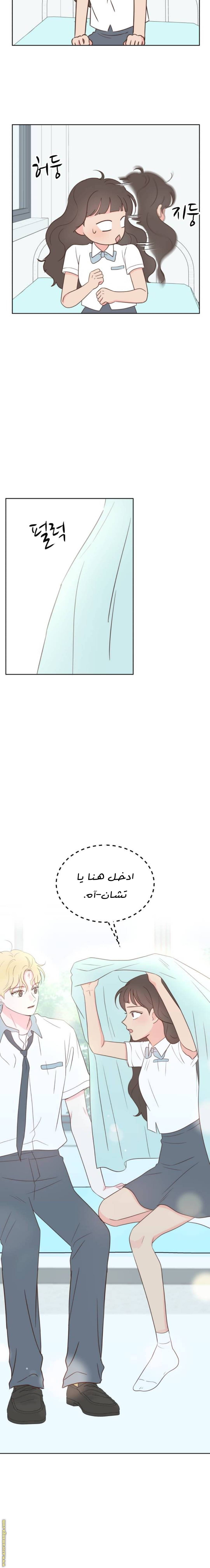 الصفحة 19