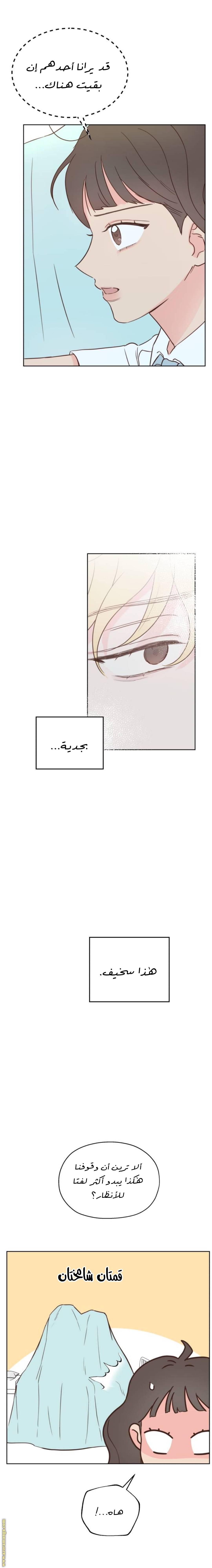 الصفحة 20