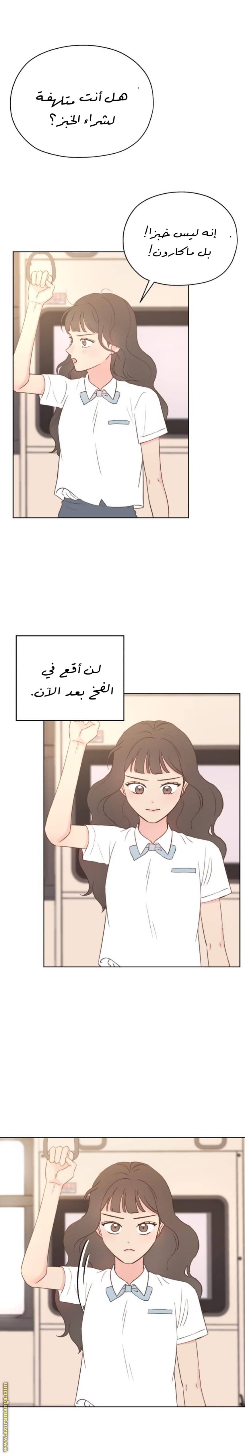 الصفحة 27
