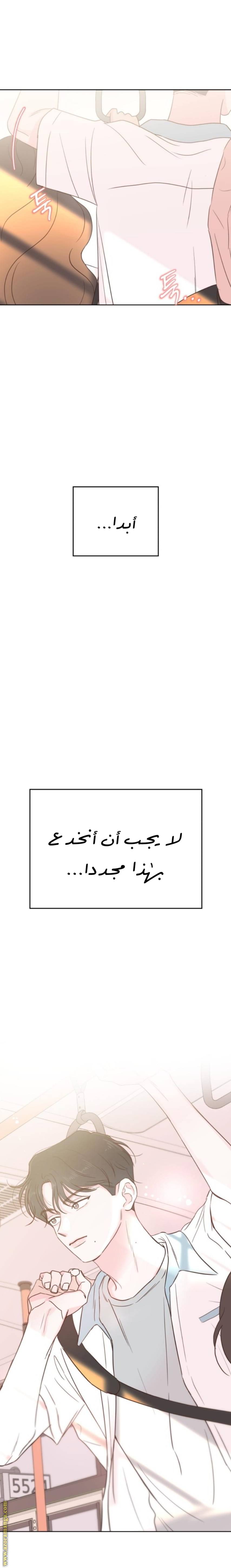 الصفحة 29