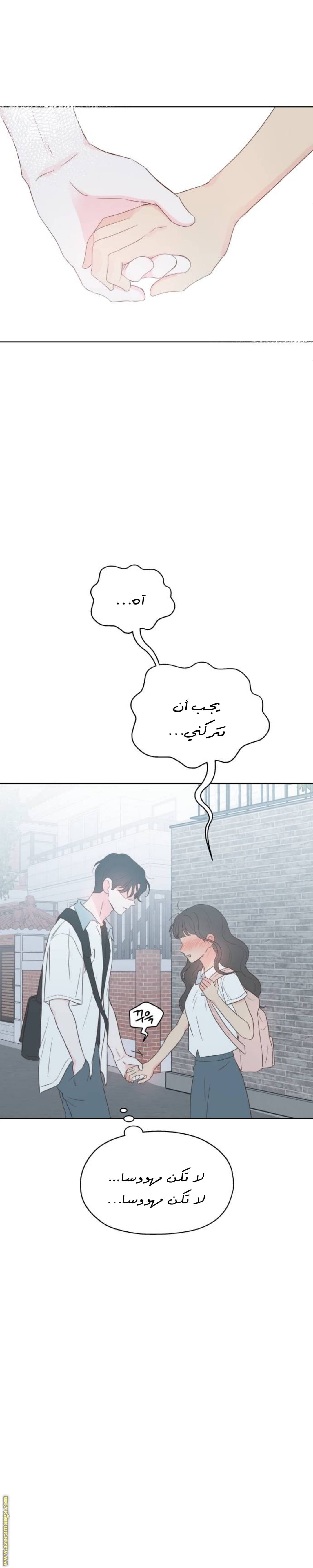 الصفحة 17