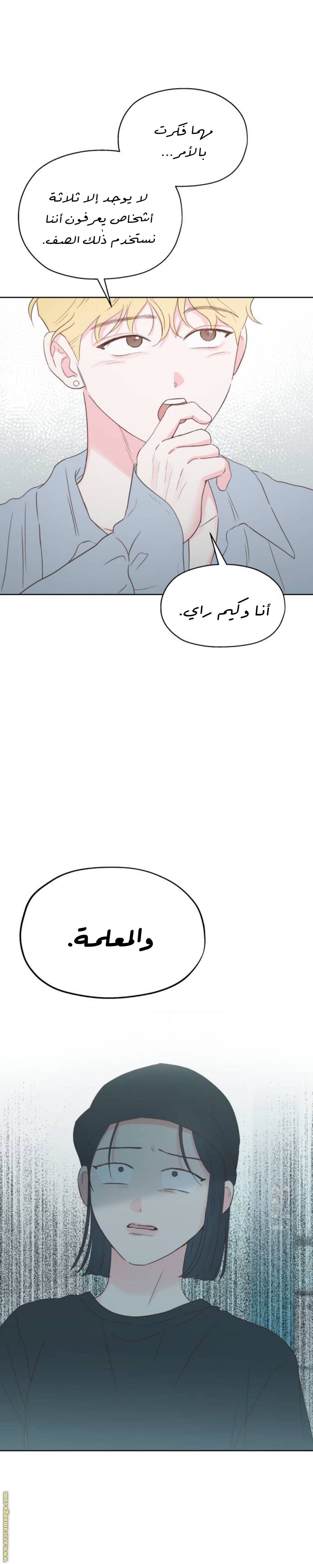 الصفحة 20