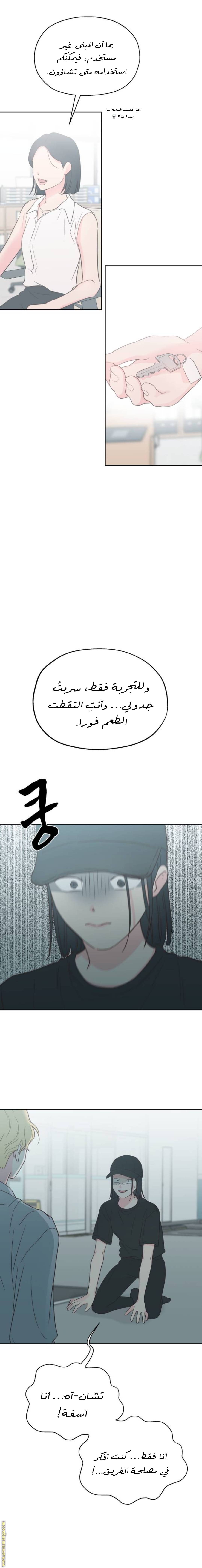 الصفحة 21