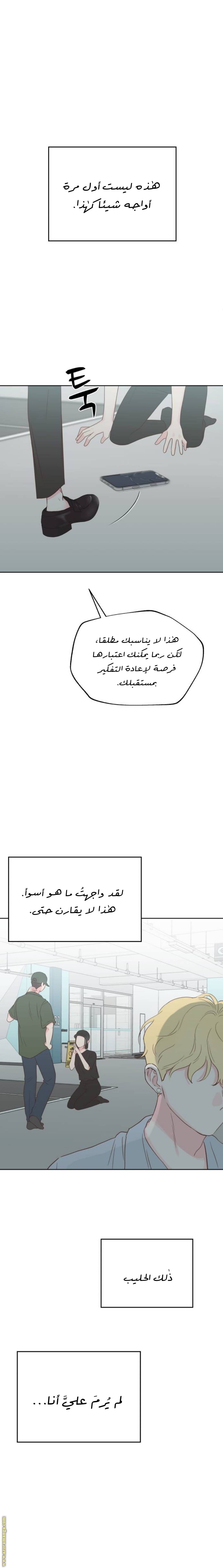 الصفحة 24