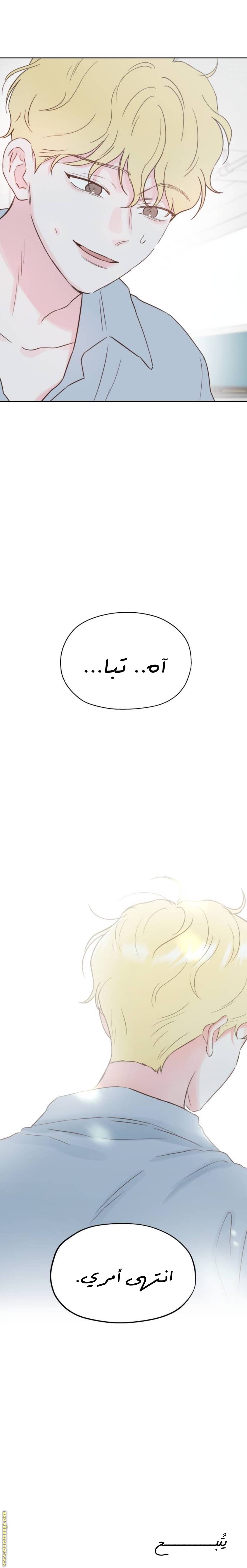 الصفحة 28