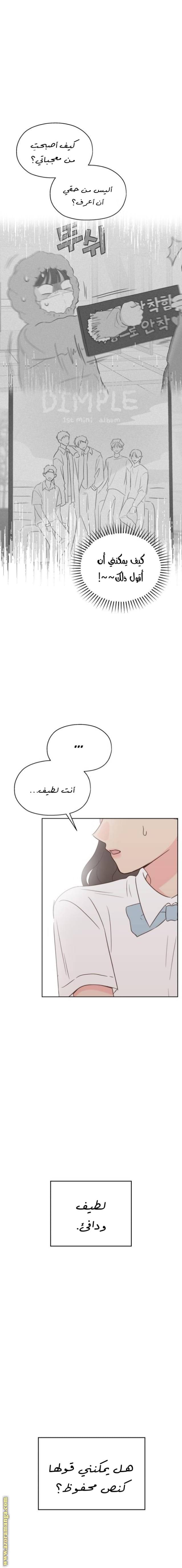 الصفحة 17