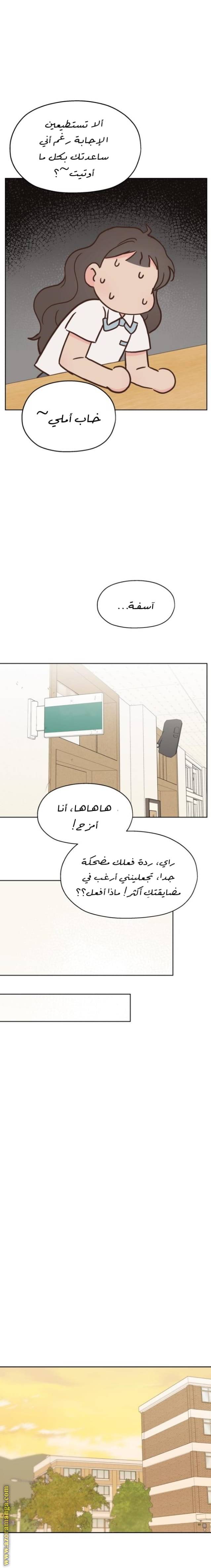 الصفحة 19