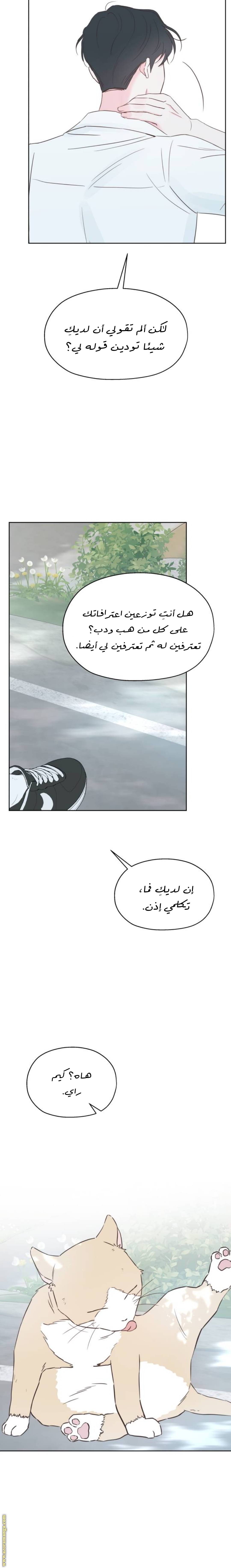 الصفحة 3