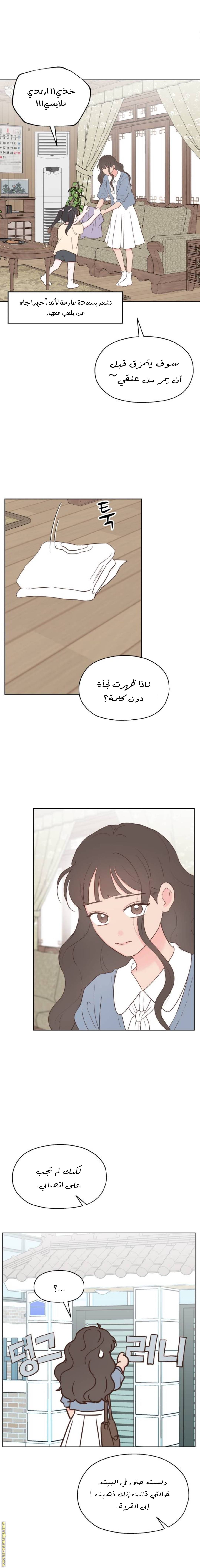 الصفحة 13
