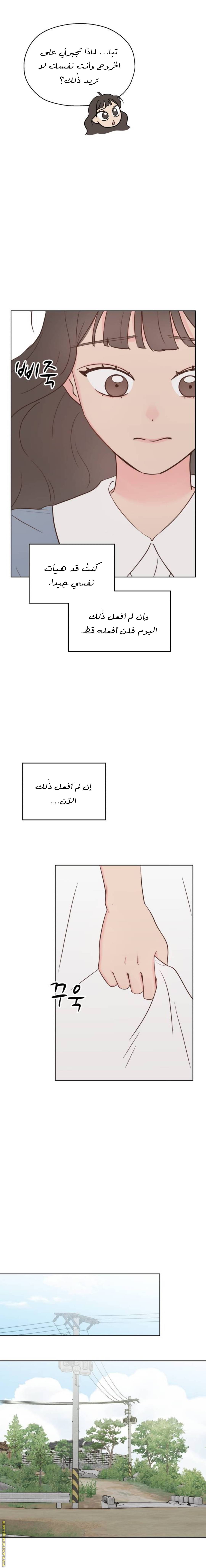 الصفحة 15