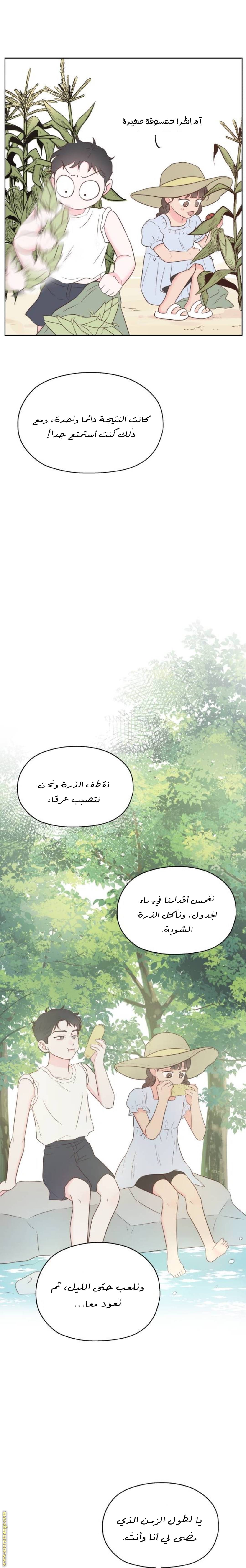 الصفحة 18
