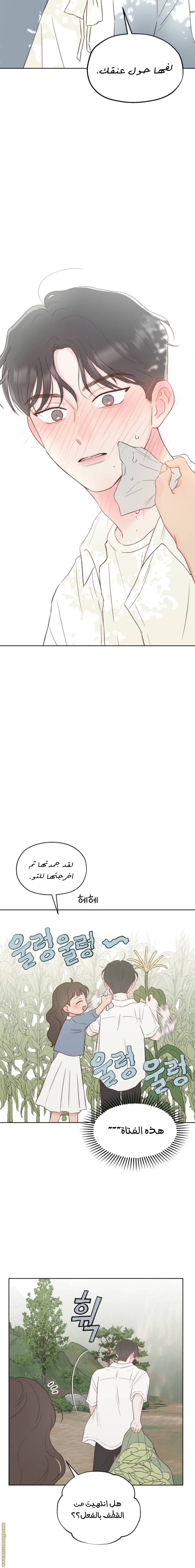 الصفحة 21