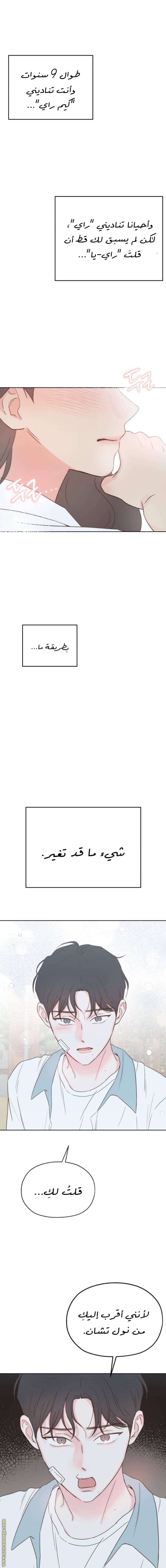 الصفحة 3