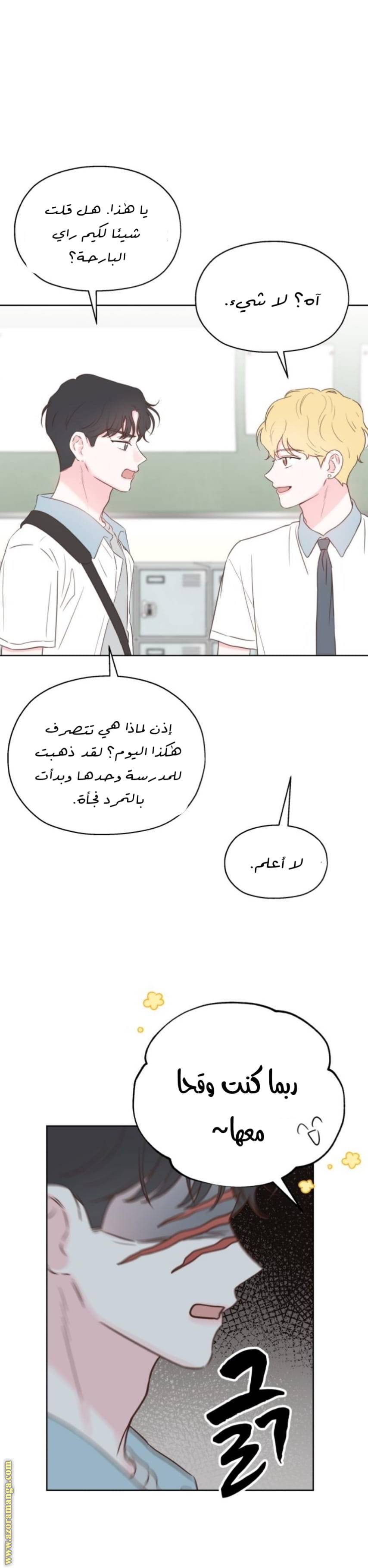 الصفحة 19