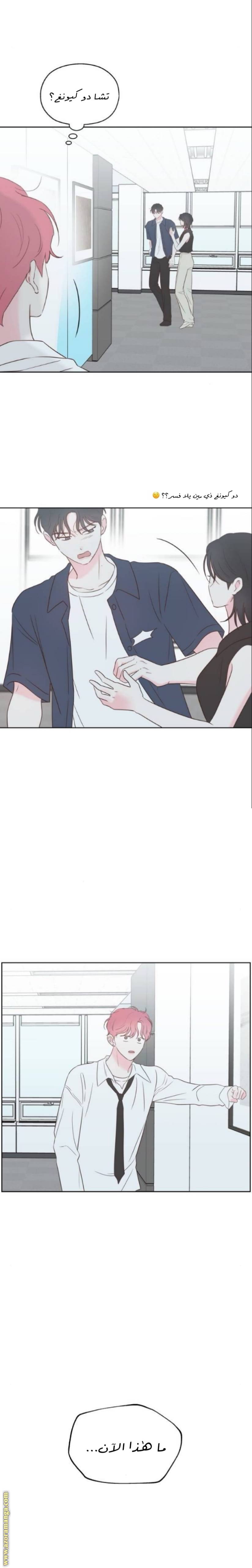 الصفحة 11