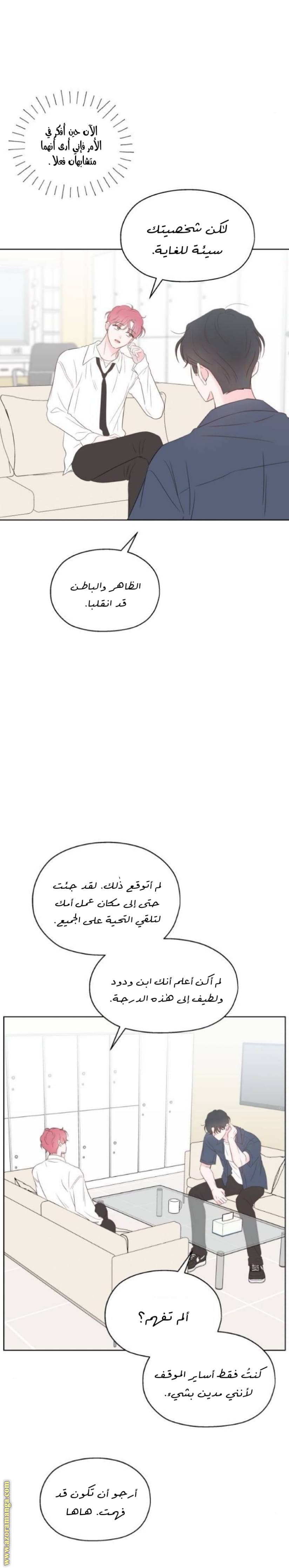الصفحة 13
