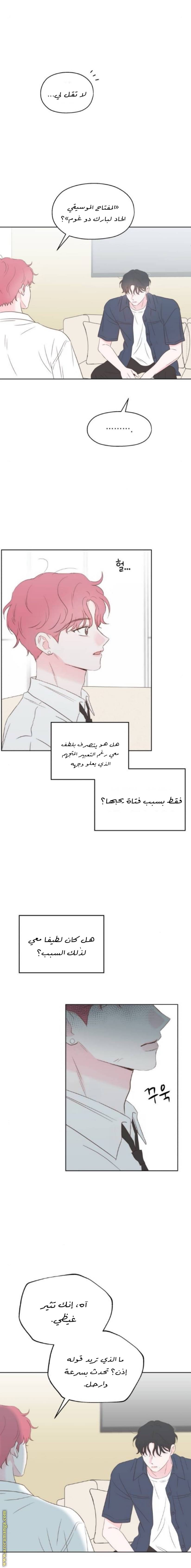 الصفحة 14