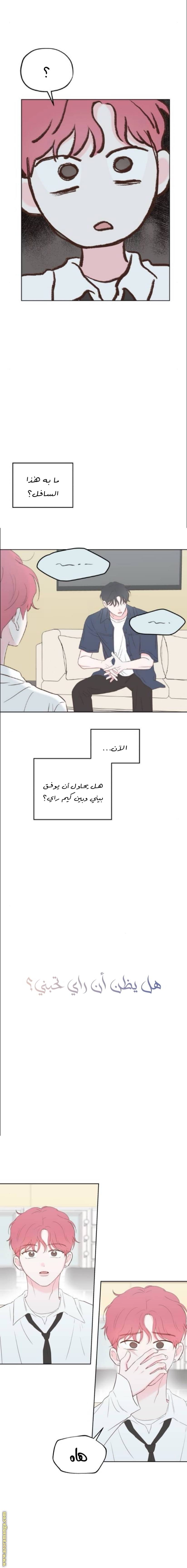 الصفحة 16