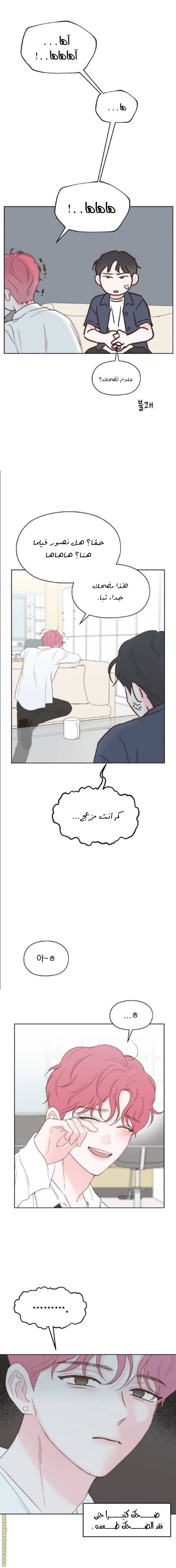 الصفحة 17