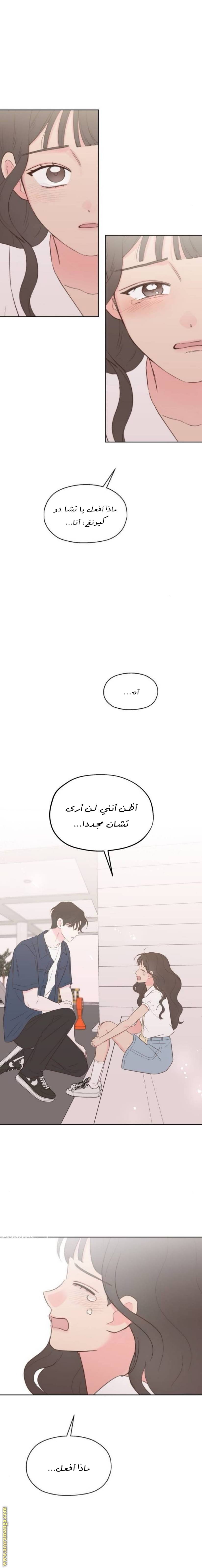 الصفحة 24