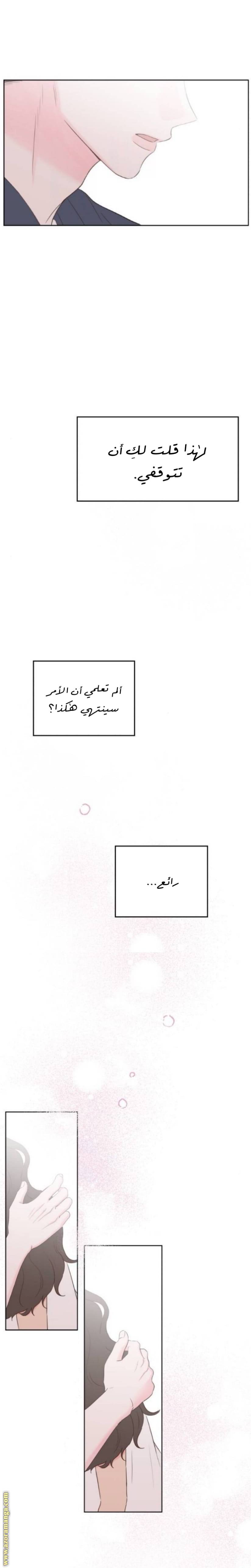 الصفحة 25