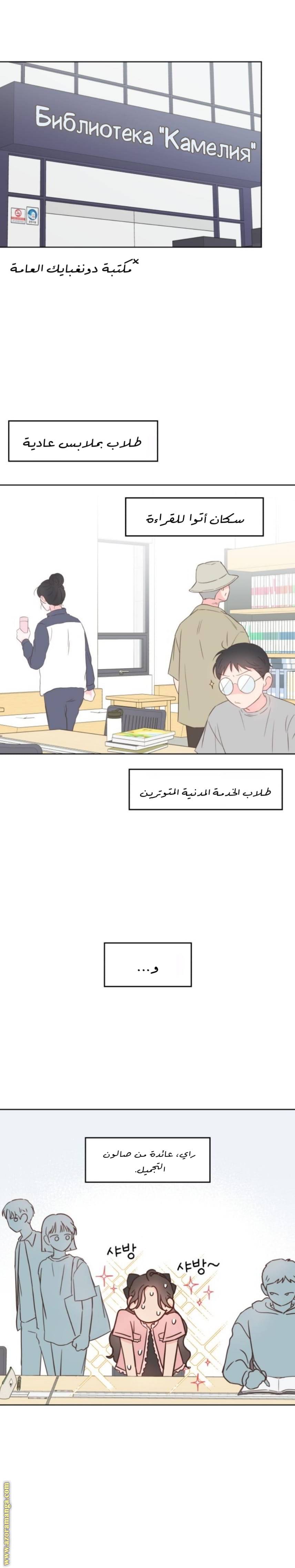 الصفحة 13