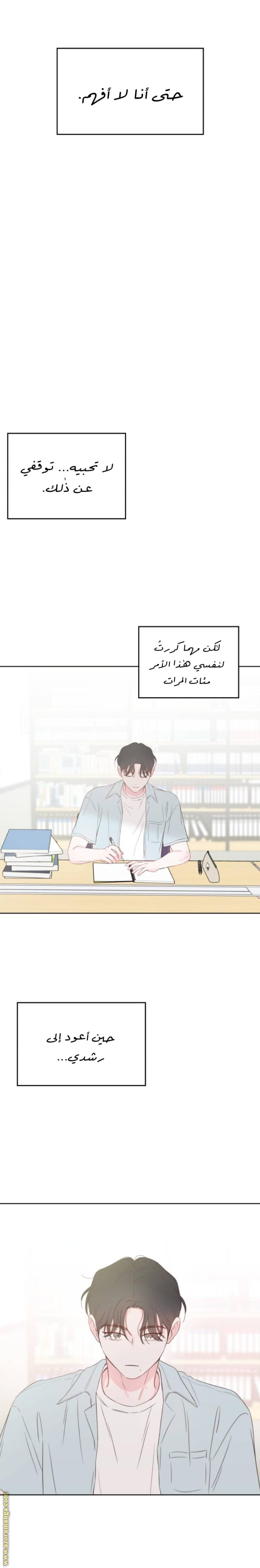 الصفحة 19
