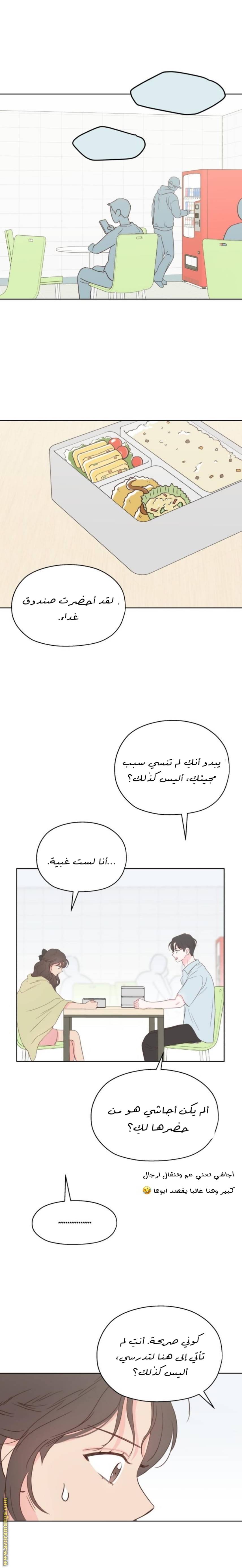 الصفحة 21