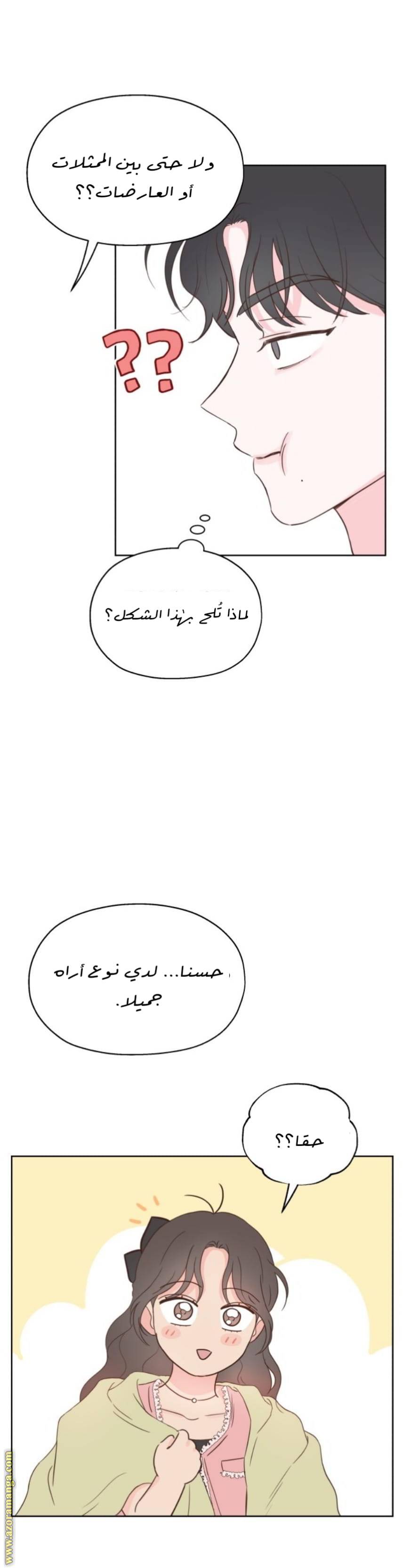 الصفحة 24