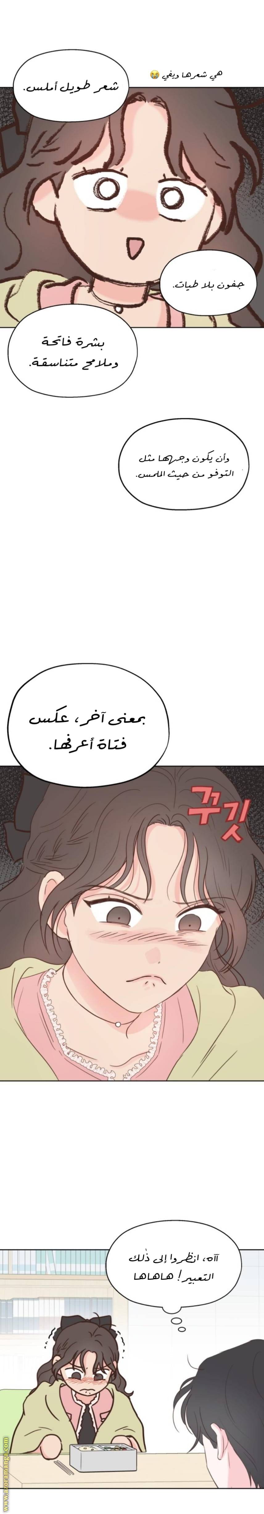 الصفحة 25