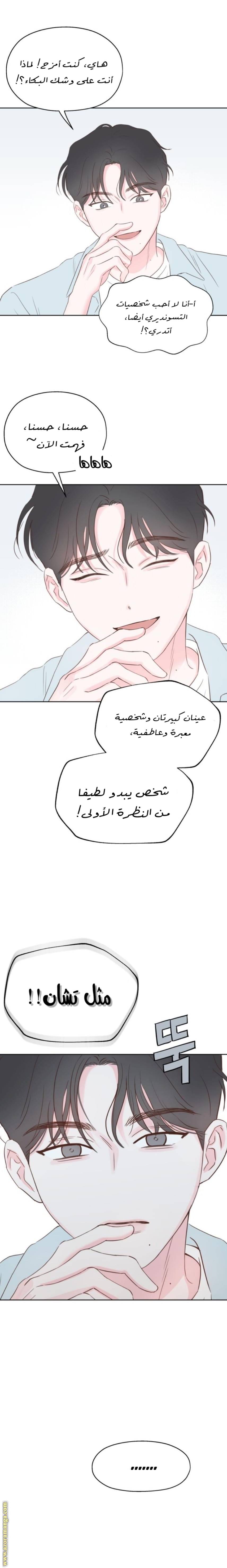 الصفحة 26