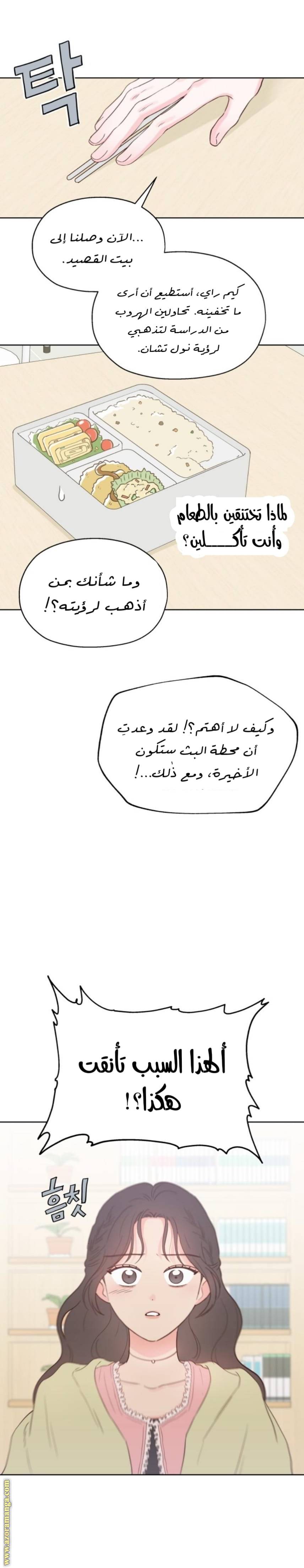 الصفحة 27