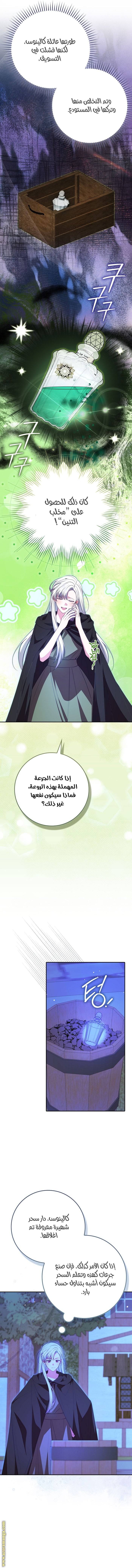 الصفحة 8
