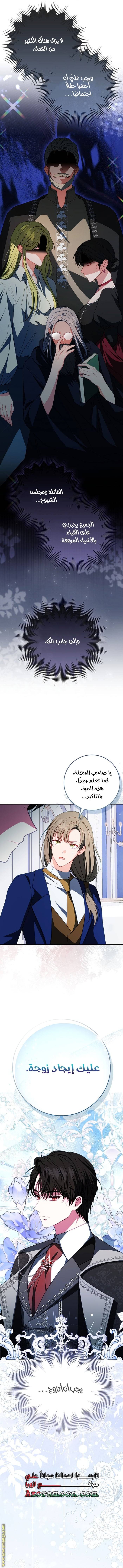 الصفحة 11