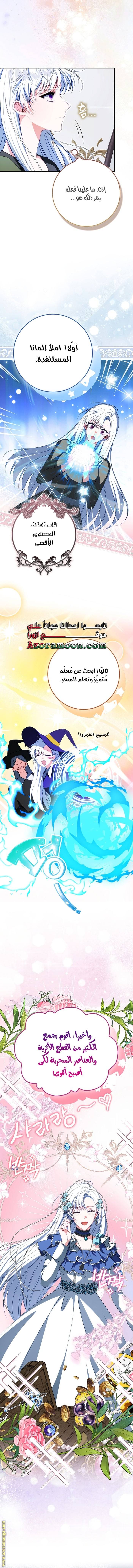 الصفحة 19