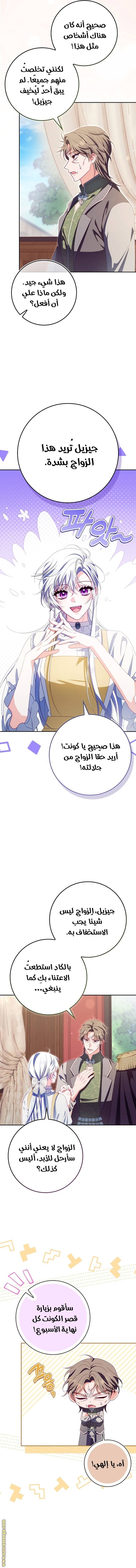 الصفحة 13