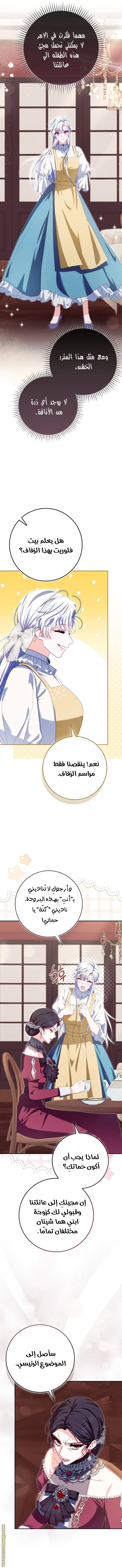 الصفحة 17