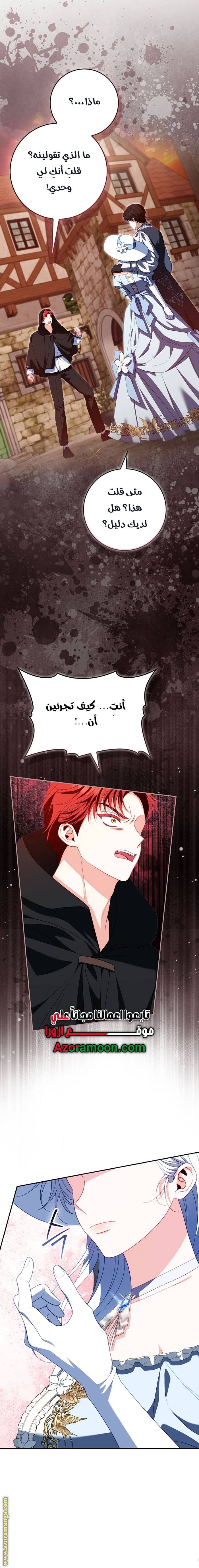 الصفحة 17