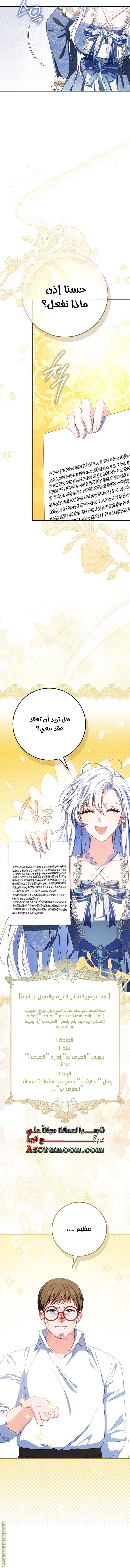 الصفحة 14