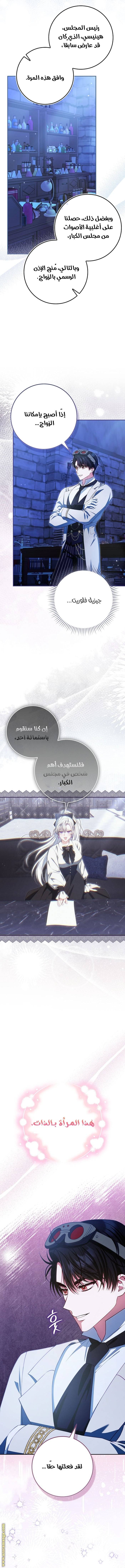 الصفحة 13