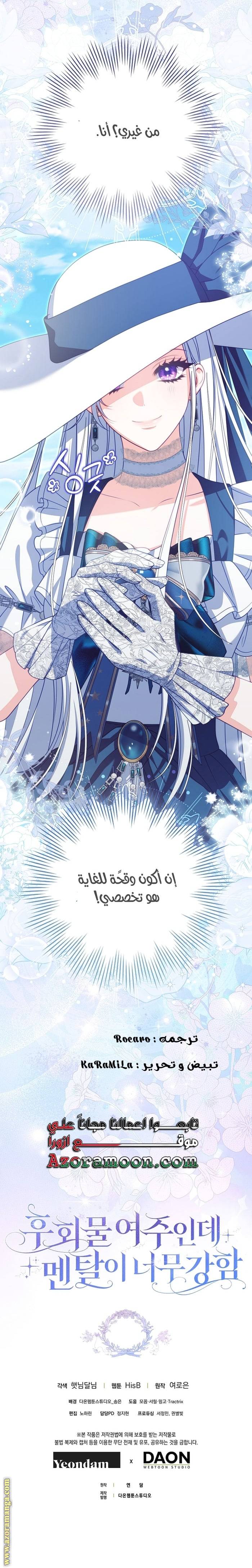 الصفحة 17
