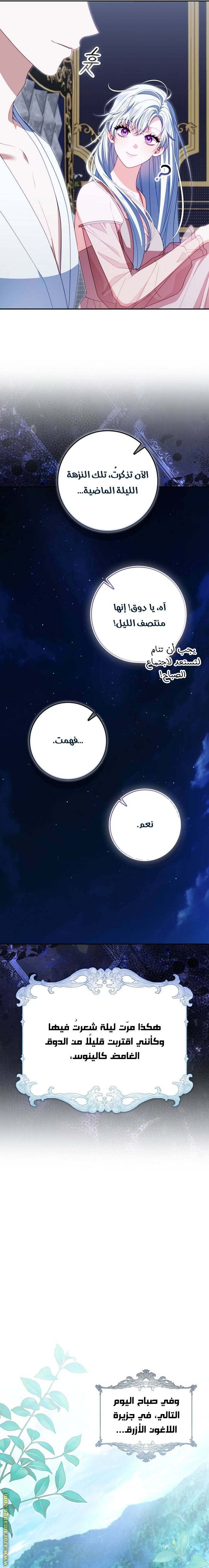 الصفحة 15